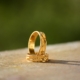Imagen de dos anillos de oro para una boda